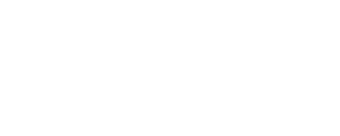 Logo INTER Polska